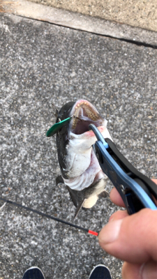 チニングではありません