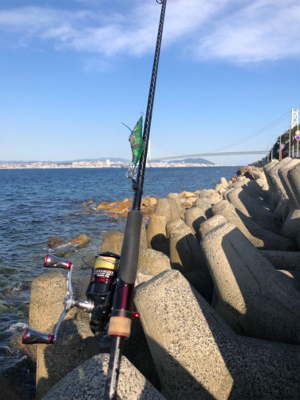 終盤エギング修行！