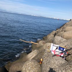 テトラでフカセ釣り