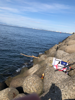 テトラでフカセ釣り