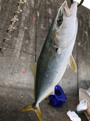 ショアジギで初青物!!