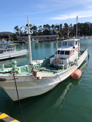 和歌山ティップラン、そしてクエが…