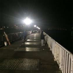 15ツインパワー 鱗付け