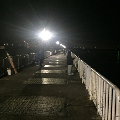 15ツインパワー 鱗付け