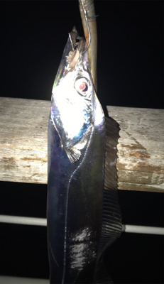 青、確保できず