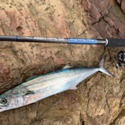 2連休連続ロックショア