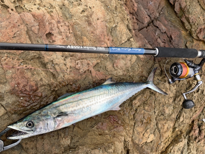 2連休連続ロックショア