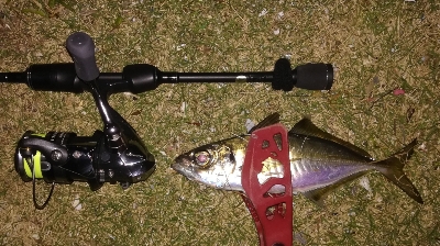 アジンガー1840〜2025