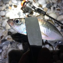 明日の朝ごはん