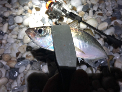 明日の朝ごはん