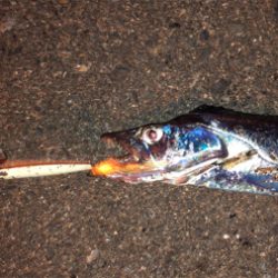 30分間限定…なんとか一本汗