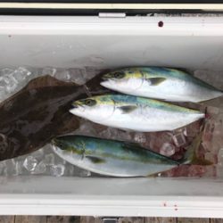 三河湾でボートライトジギング