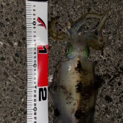 出だしはよかったのに…