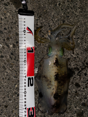 出だしはよかったのに…