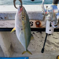 爆風劇渋ジギング