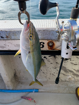 爆風劇渋ジギング