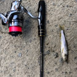 ジグヘッドフライ