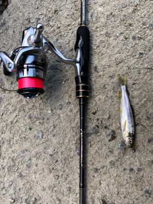 ジグヘッドフライ