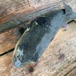 ポート田尻さんにて