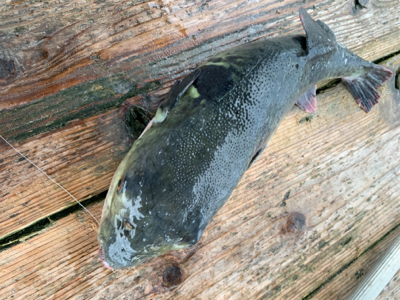 ポート田尻さんにて