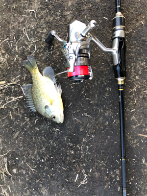 近所の中流域にて