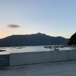 イカはもういない