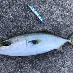 カスタムルアーの底力！