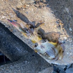 到着して直ぐ❗️