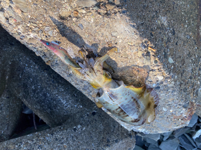 到着して直ぐ❗️