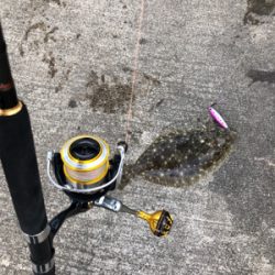 ナブラが防波堤近くで2時間継続！