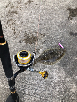 ナブラが防波堤近くで2時間継続！