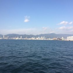 メクリアジ好釣!