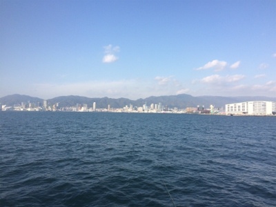 メクリアジ好釣!