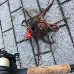 オクトパッシング