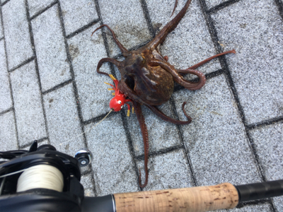 オクトパッシング