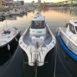 福岡ティップラン