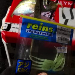 アジング練習  63