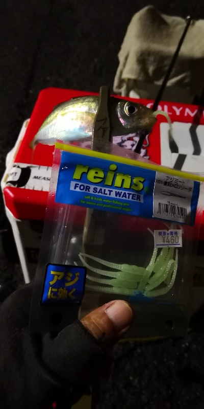 アジング練習  63