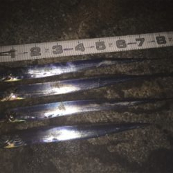 舞洲復活の兆し