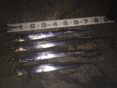 舞洲復活の兆し