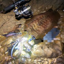 今季初キロアップ