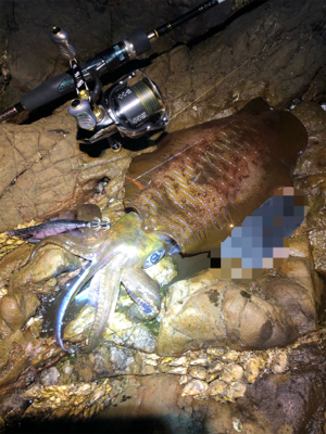 今季初キロアップ