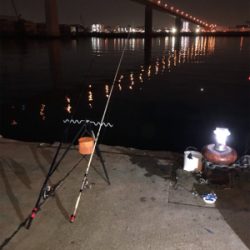 二週間ぶりの釣りですが⁉️