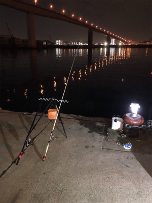 二週間ぶりの釣りですが⁉️