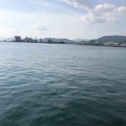 親父たちの釣行　またまた淡路島編‼️