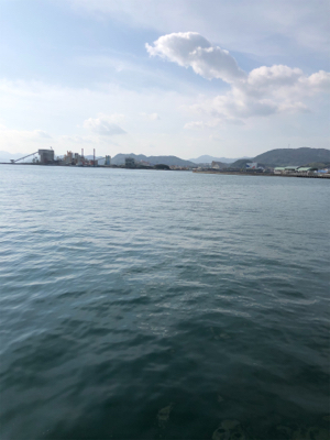 親父たちの釣行　またまた淡路島編‼️