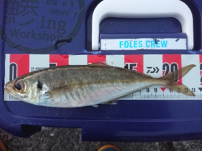 めっちゃ引くやん