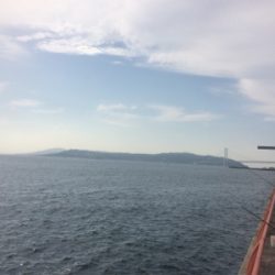 活性は高くとも、サイズは伸びず