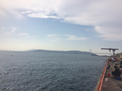 活性は高くとも、サイズは伸びず