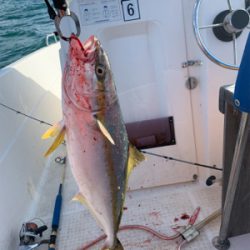 マイボートで荒波釣行